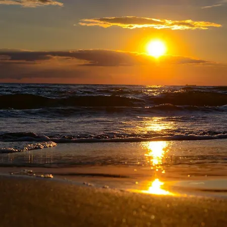 Hotel Andi Kryemëdhej